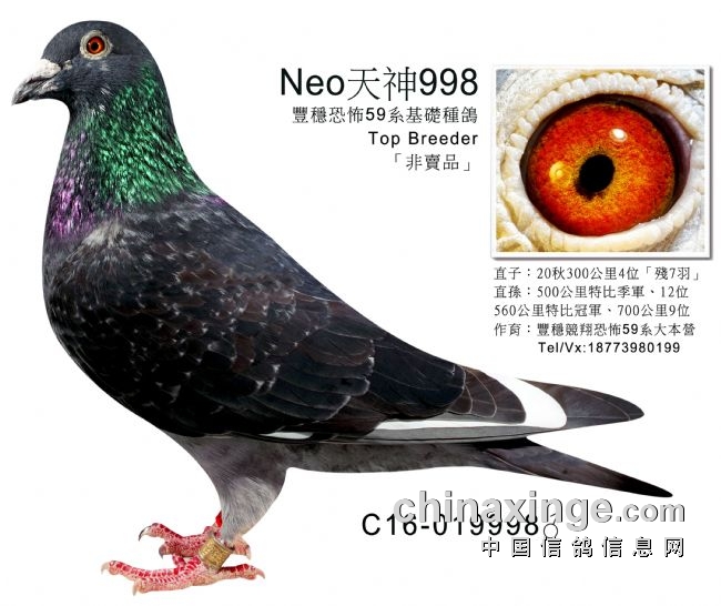 ��������żȻ�Դ���Լ�