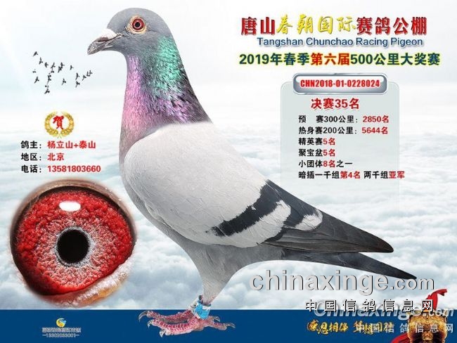 Ҫ��Ӯ�ٴ���� ����