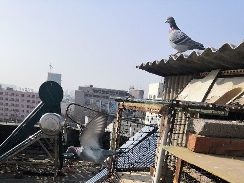 ����ʮ�꣺���Ը�ϲ ���Ը뱯