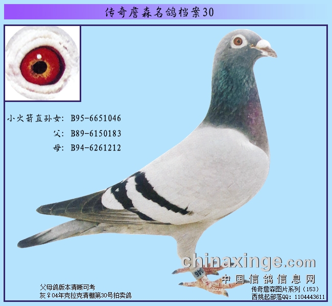 ����ղɭ���뵵���������˵ĳ���ʷ