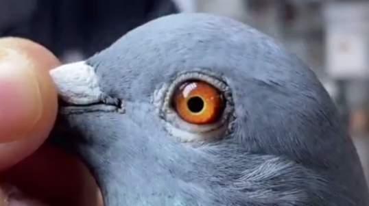 ��ʵ���뽡������