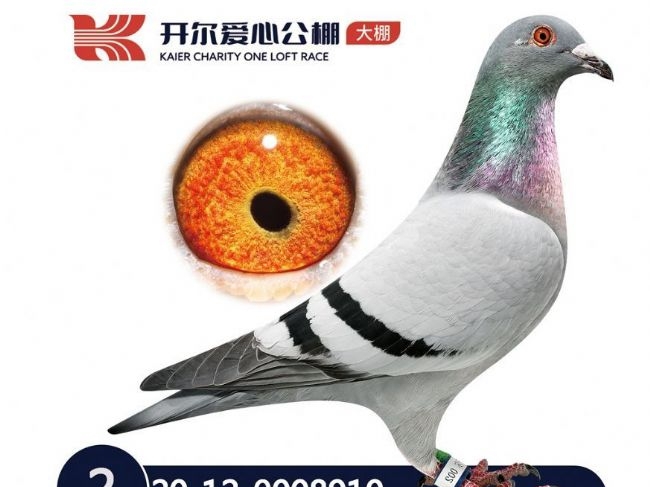 ��������� ʵ��3�� ��Ϳ��������Ǿ�