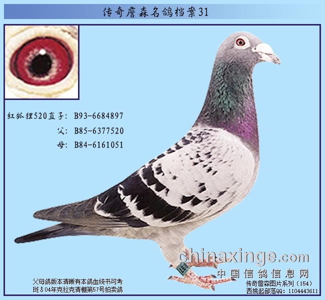 ����ղɭ���뵵�������������ĻԻ�