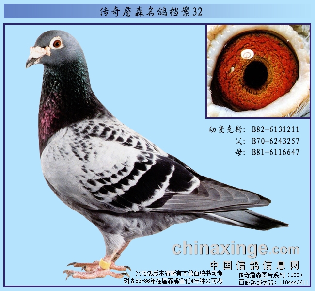 ����ղɭ���뵵�����������˹