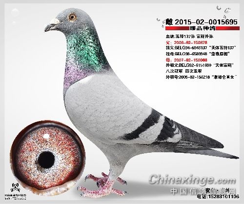 ���֡����С� ������;