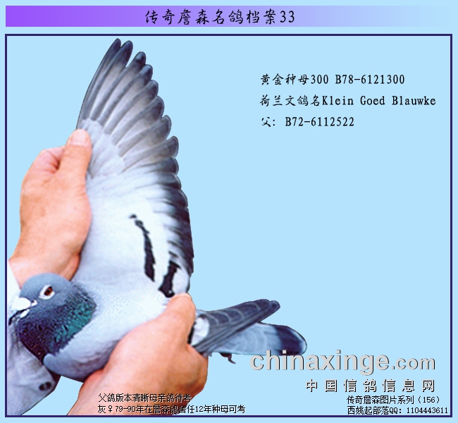 ����ղɭ���뵵����ղɭ�����е�����