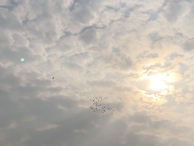 ���ڸ��ӵ�һЩ����