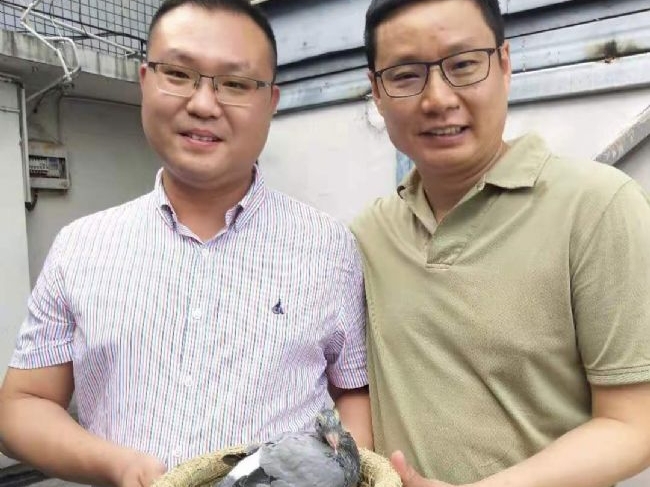 �������Ե