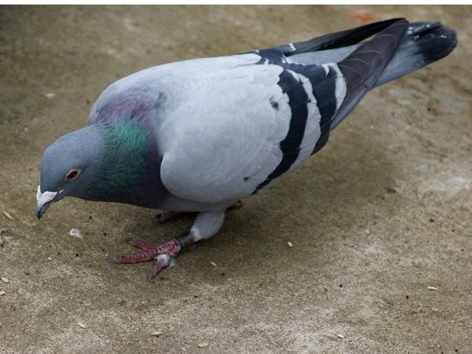 ����췱�� �������������޹�