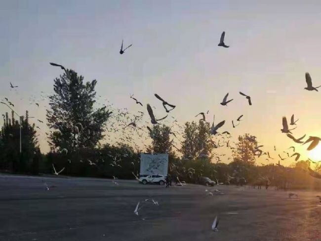 ����������վ����������������