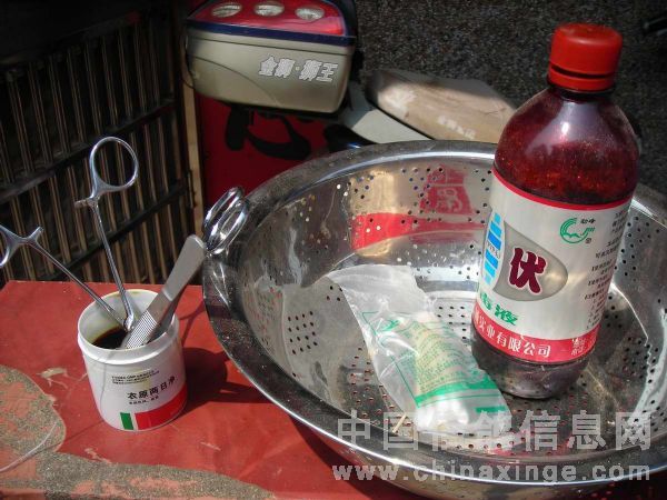 ���롰צ���ˡ��崴���