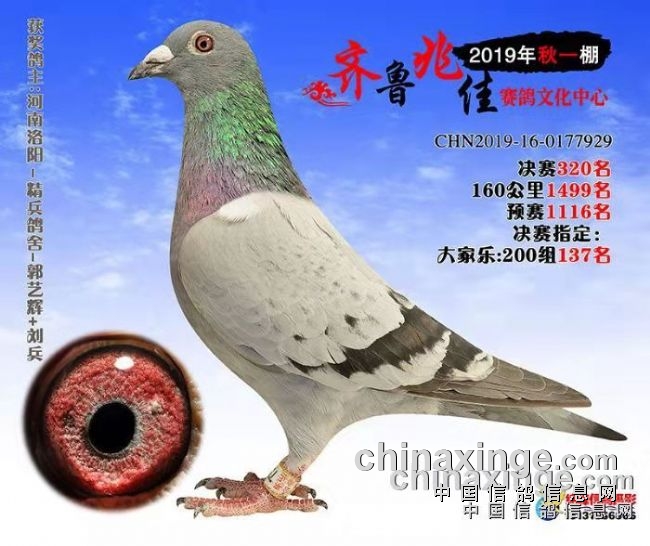 ħ�������ս���