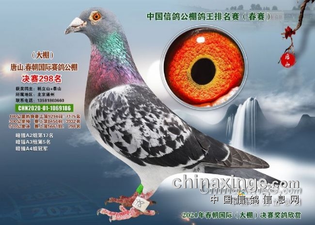  �ø����Ķ���