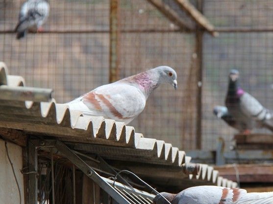 2021�괺�������Ļع��뷴˼