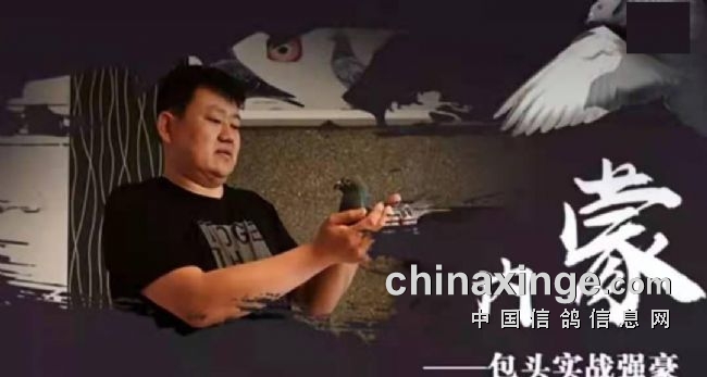  ��˹�������˷�˿�ð�ͷʵսǿ�������Ŷ�