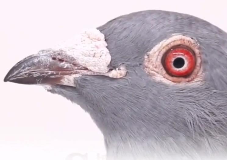 �������� ��һ����һ��