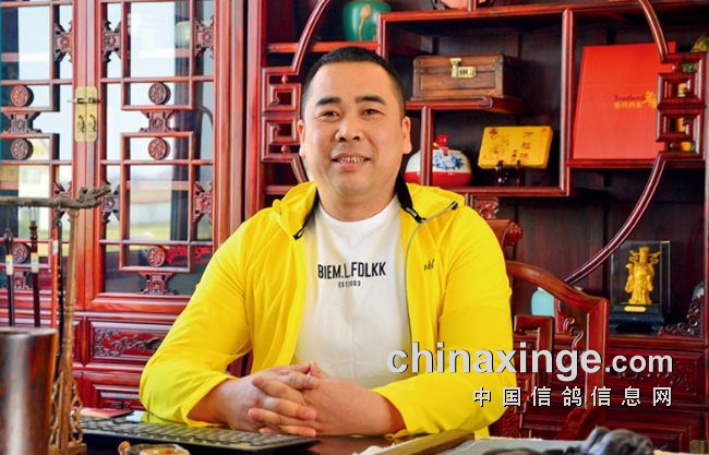  ���Ը߶˹������߷緶 �����ݻԻ��Ŷ�