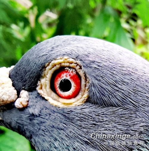 ���Ƕ��Ƿ���Ա