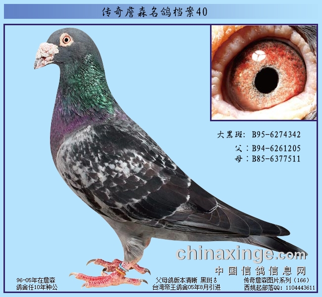 ����ղɭ���뵵��