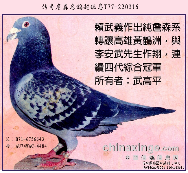 ����ղɭ���뵵����������