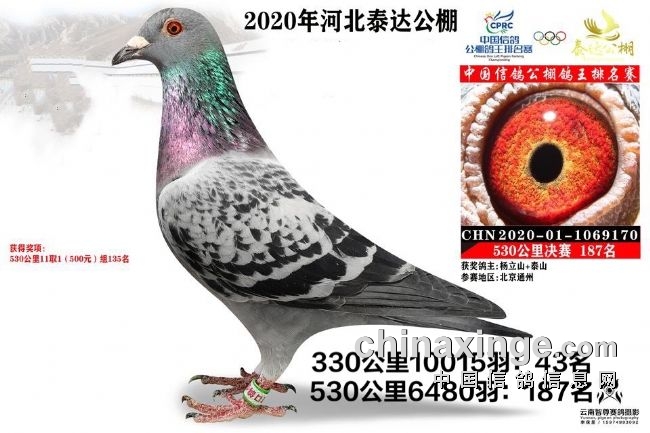 ���ｱ����ʱ���׽�ʱ��