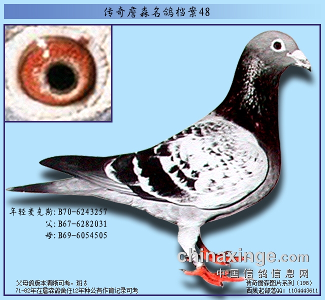 ղɭ�����еİ���ѻ