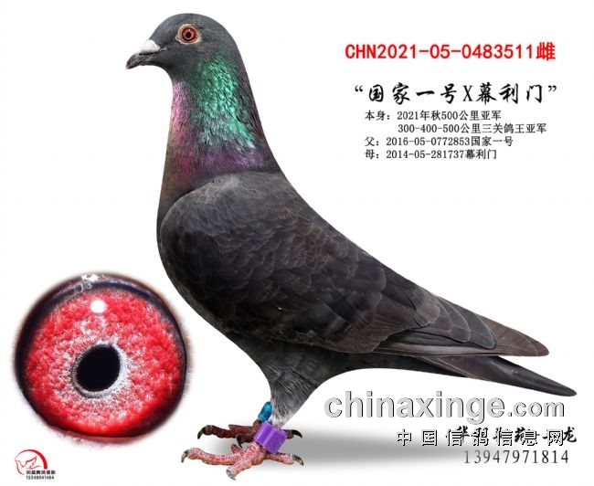 �Ĺظ������������ܽ�