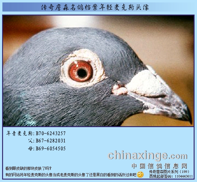 ����ղɭ���뵵����������ѻ�����˹