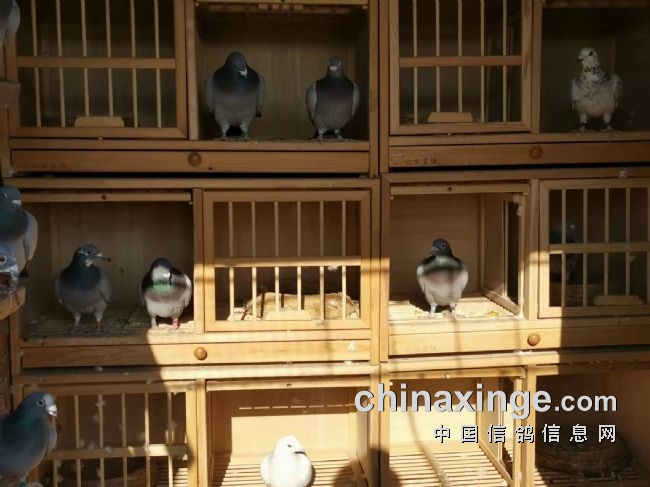 �¹�н���ѣ�һ�ַ��һ�ֵ�