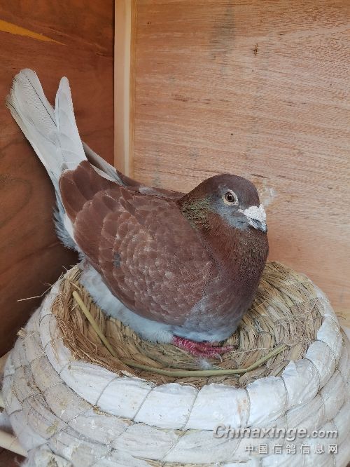 ���װ�������· �������ҵ�һ���Ÿ�