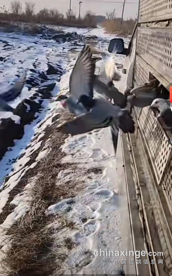 ��Ҫ����·ѵ�ı�Ҫ ��Ҫ����·ѵ�Ľ���