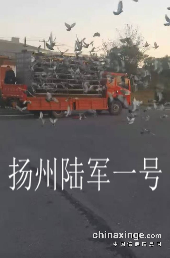 ����ǰ����ѵ�Ų������Ÿ������