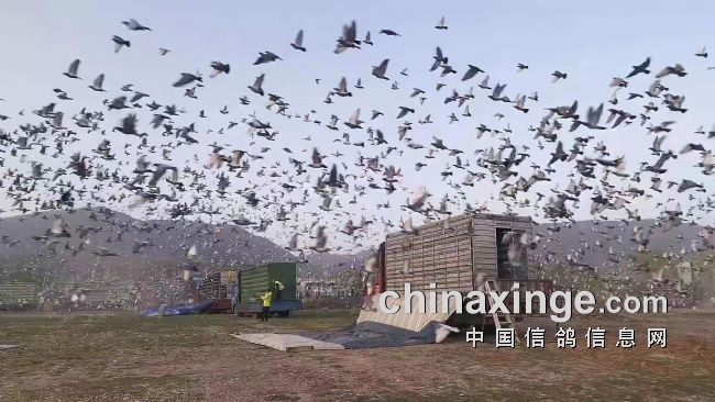 �����ǻ���ԭ���۳��ź��أ�