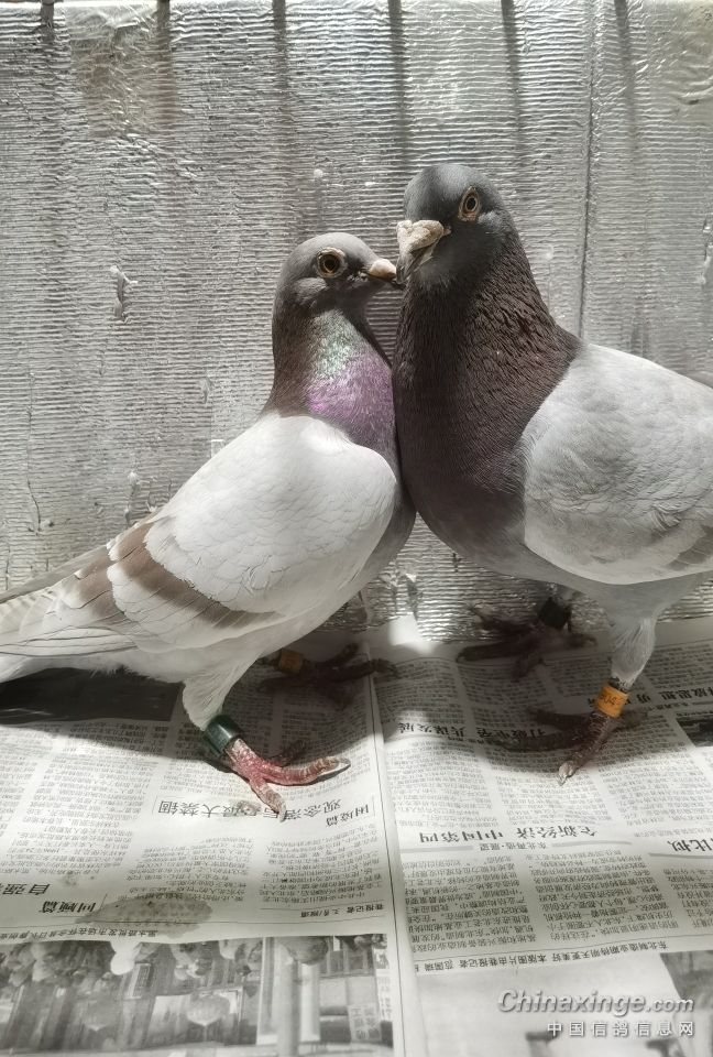 �������·��ֻ�и���֪