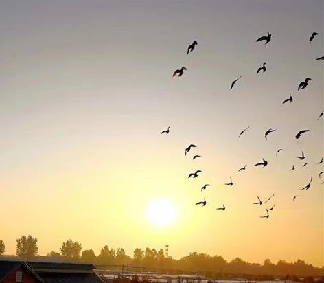 ��������������������Ȩ��