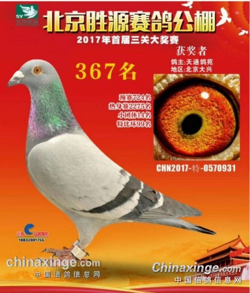 �ҵ����롰���ܡ���ѡ����Ѫ ������Ѫ