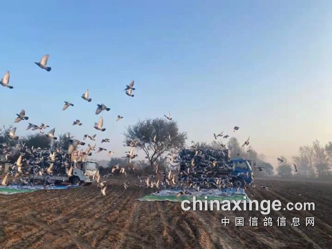 ̽�������ͳһ��