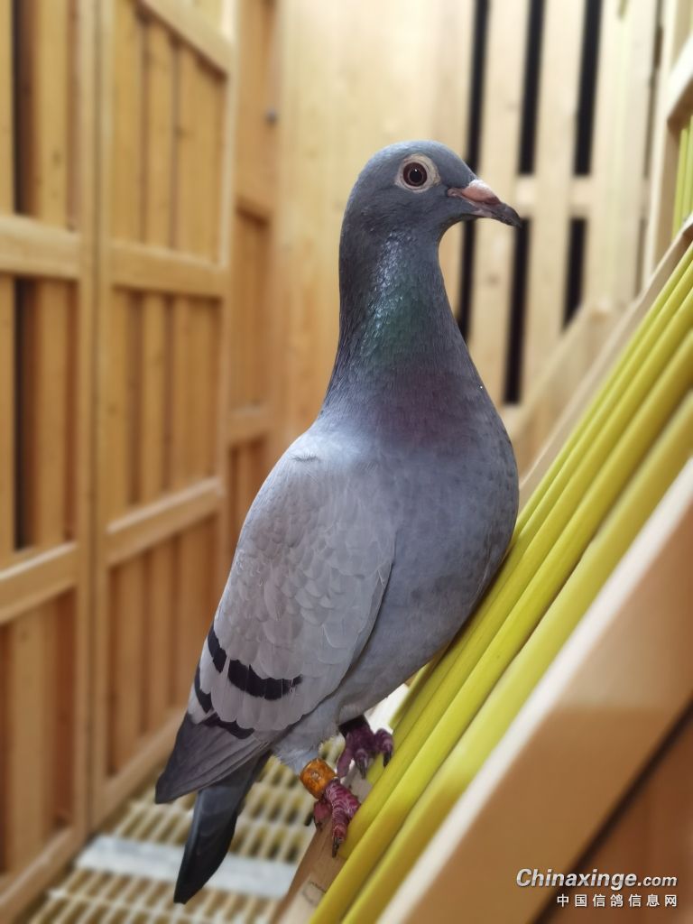 ���벻��һ���� Ҫ�ñ������ڵ�����