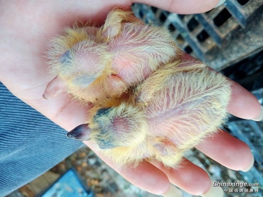 �Ӵ�����λ��ԭ����أ�