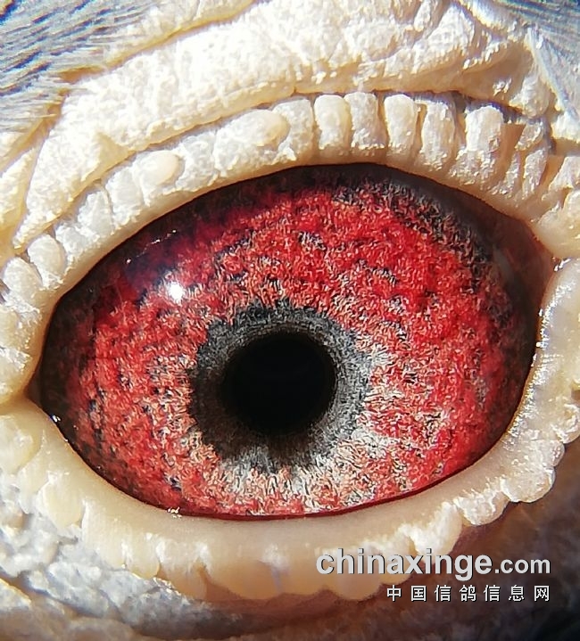 �벻��ò�� ��ǿ����ķ���ո�ϵ