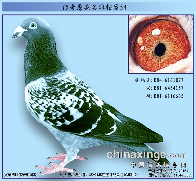 ����ղɭ���룺���ع�