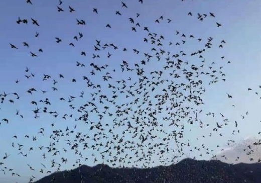 ����̵�����ʱ��ŷɳ�Զ�̣�����Ц��