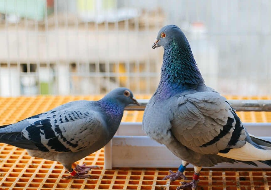 �ϻ����½������������ֺ�����