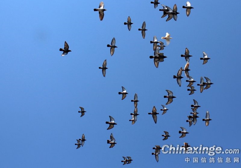 ���ۣ�δѵ�ɾ�ֱ�� ��Ŀ���ô��