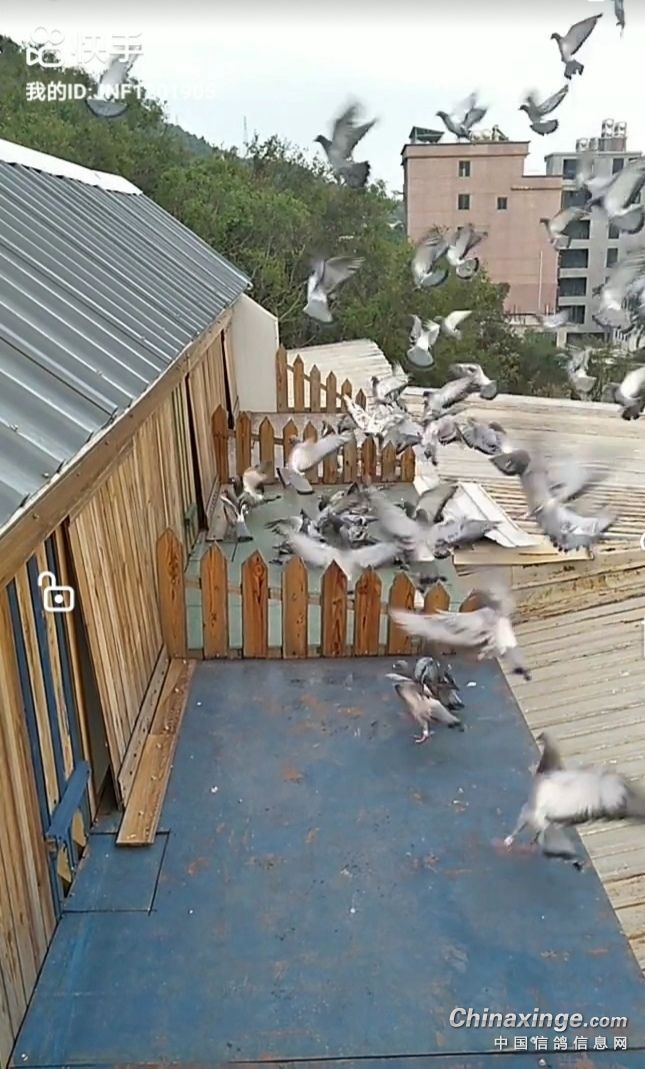 ���������»�ʤ�Ĺؼ�