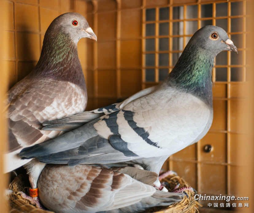 �̾���û��Ҫ�ȣ���������