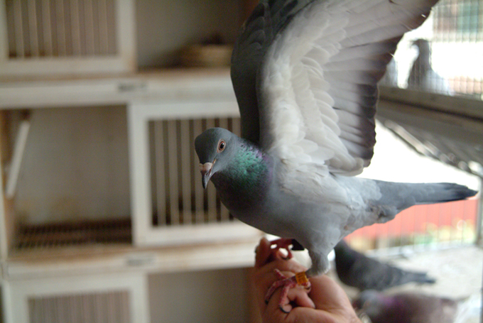 ��ƽ��ھ�Ҳ������Զ�̸�