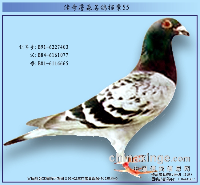 ����ղɭ���룺������