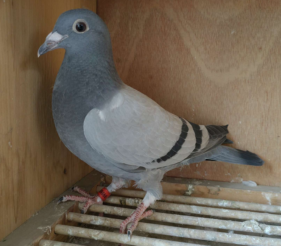 �����ĸ����費��Ҫ�������