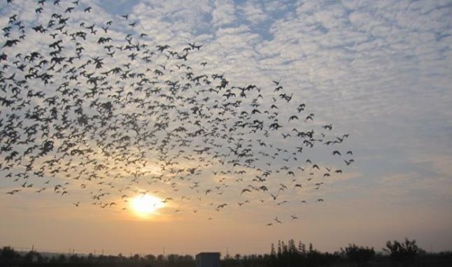 �ó���ʱ�ͳ��� ���١���Ѫ���䵽ŷ�������ˣ�